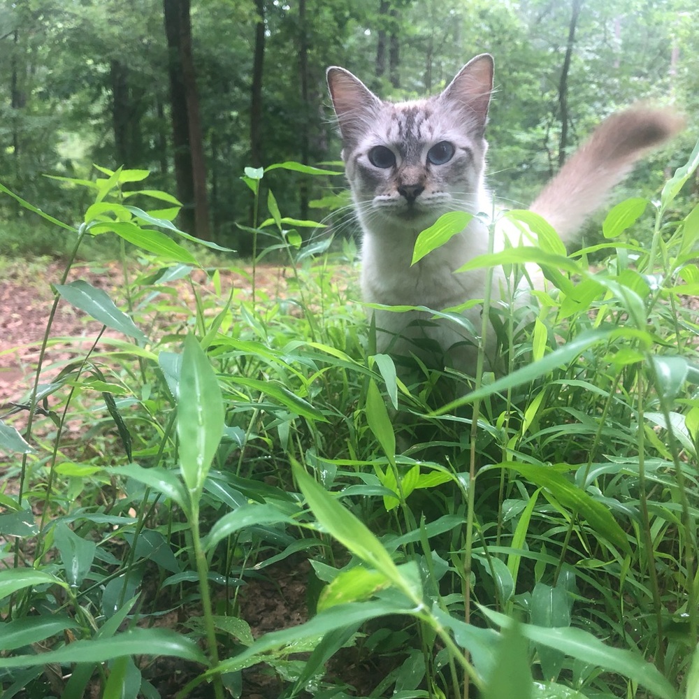 Meet your Posher, Serenity